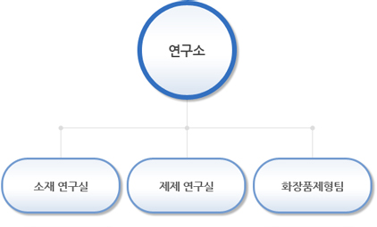 조직도